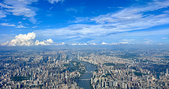 域名信息查询系统