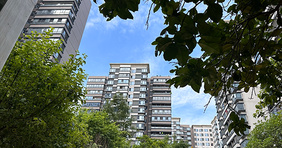 域名注册网站查询