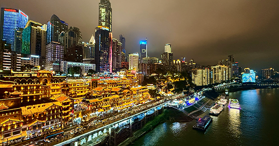 IP查询域名：技术原理与应用场景