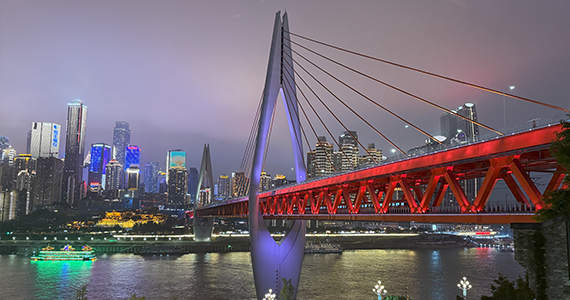 域名注册到期查询